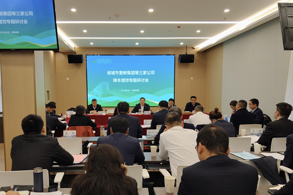 聚力攻坚降成本 深化改革增效益——君临国际集团等三家公司召开降本增效专题研讨会
